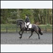 durdress22_0095