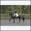 durdress22_0096
