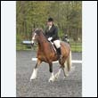 durdress22_0099