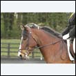 durdress22_0100