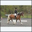 durdress22_0101