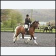 durdress22_0102