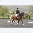 durdress22_0103