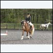 durdress22_0104