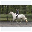 durdress22_0106