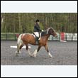 durdress22_0107