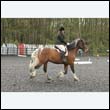 durdress22_0108