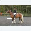 durdress22_0109