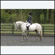 durdress22_0111
