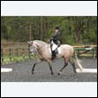 durdress22_0114