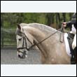 durdress22_0120