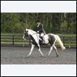 durdress22_0129