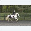 durdress22_0130