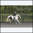 durdress22_0131