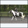 durdress22_0132