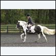 durdress22_0133
