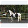 durdress22_0134