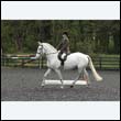 durdress22_0135
