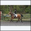 durdress22_0136