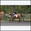 durdress22_0137