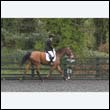 durdress22_0140