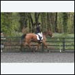 durdress22_0141