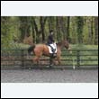 durdress22_0142