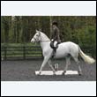 durdress22_0143