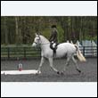 durdress22_0144