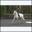durdress22_0145