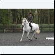 durdress22_0146