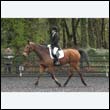 durdress22_0147