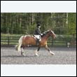 durdress22_0161