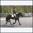 durdress22_0170