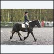 durdress22_0171