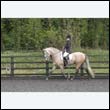 durdress22_0173