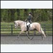 durdress22_0174