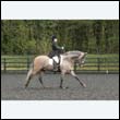 durdress22_0178