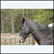 durdress22_0186