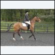 durdress22_0197