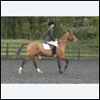 durdress22_0198