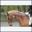 durdress22_0201