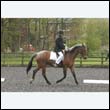 durdress22_0202