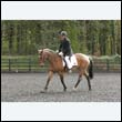 durdress22_0204