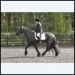 durdress22_0205
