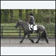 durdress22_0209