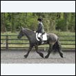 durdress22_0210