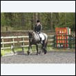 durdress22_0213