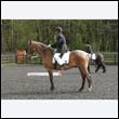 durdress22_0217