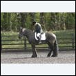 durdress22_0220